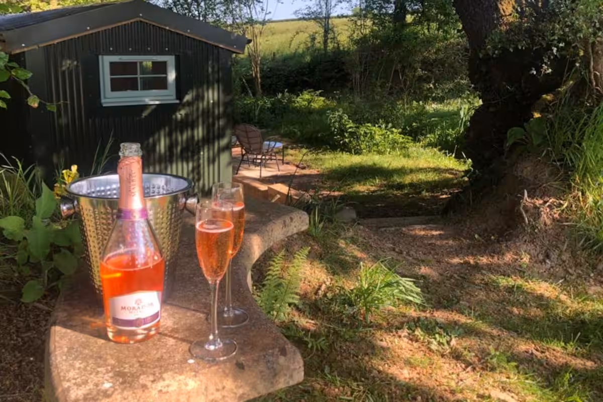 Treetops at Beara Farm